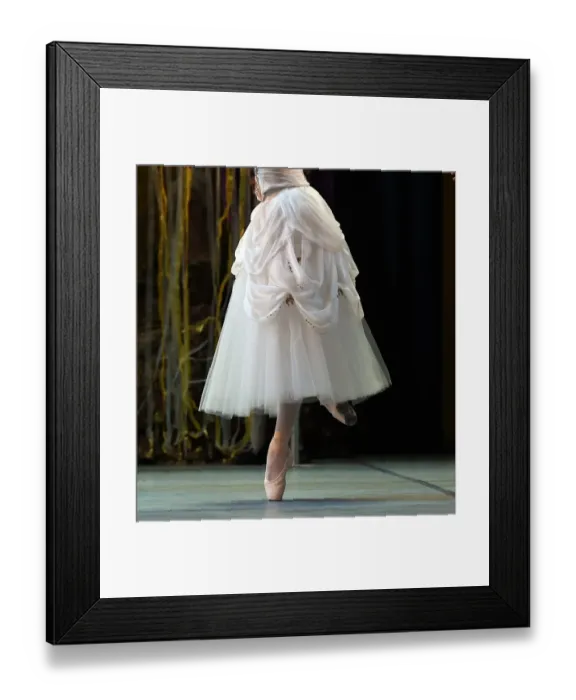 Framed Print : Us-Dance-Mikhailovsky Ballet Framed Print : Us-Dance-Mikhailovsky Ballet