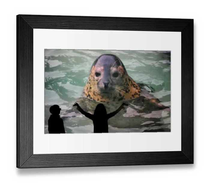 Framed Print : Japan-Zoo-3D Framed Print : Japan-Zoo-3D