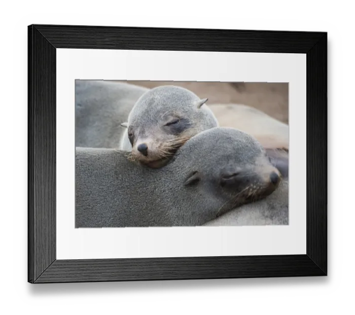 Framed Print : Namibia-Wildlife-Feature