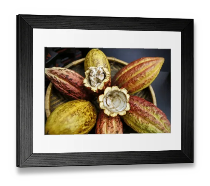 Framed Print : France-Gastronomy-Chocolate