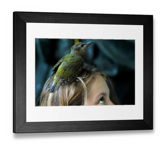 Framed Print : Russia-Birds-Offbeat