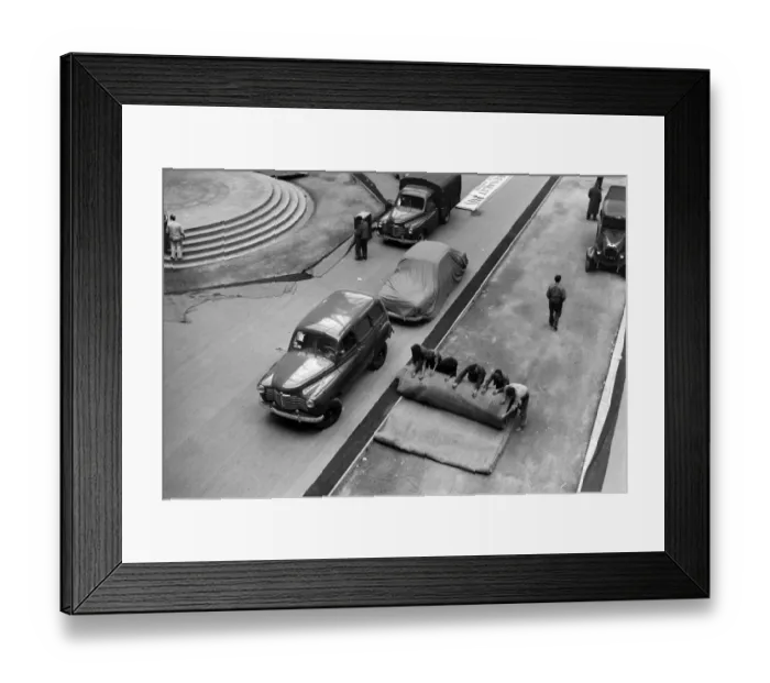 Framed Print : Preparing the 39th Auto show at the Grand Palais Framed Print : Preparing the 39th Auto show at the Grand Palais