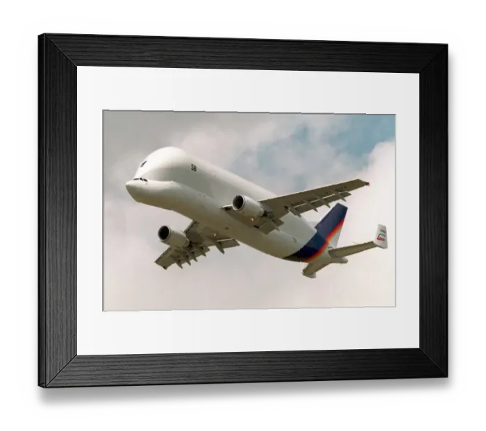 Framed Print : France-Bourget-Beluga