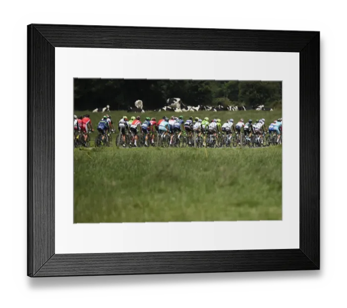Framed Print : Cycling-Fra-Tdf2016-Pack Framed Print : Cycling-Fra-Tdf2016-Pack