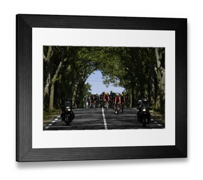 Framed Print : Cycling-Fra-Tdf2016-Pack-Postcard Framed Print : Cycling-Fra-Tdf2016-Pack-Postcard