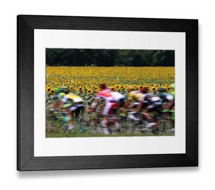 Framed Print : Cycling-Fra-Tdf2016-Pack-Postcard Framed Print : Cycling-Fra-Tdf2016-Pack-Postcard