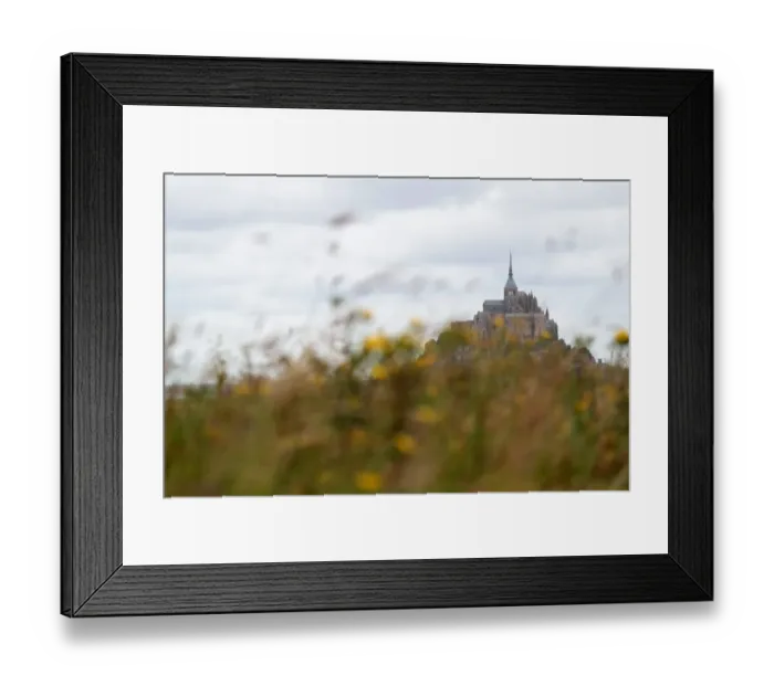 Framed Print : Cycling-Fra-Tdf2016-Feature Framed Print : Cycling-Fra-Tdf2016-Feature