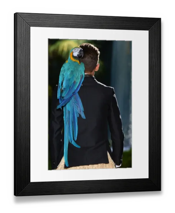 Framed Print : Fashion-Men-Milan-Dsquared2 Framed Print : Fashion-Men-Milan-Dsquared2
