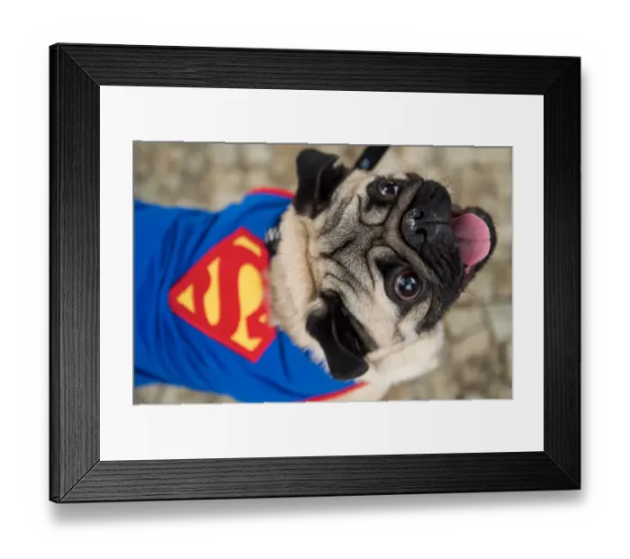 Framed Print : Blacao Carnival Parade Superman Dog