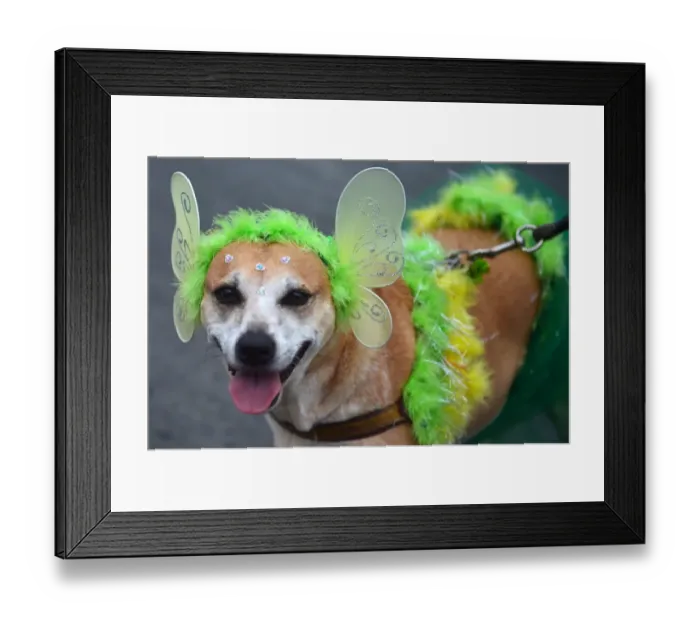 Framed Print : Brazil-Rio-Carnival-Animals