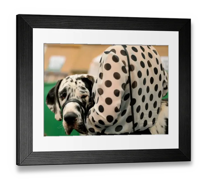 Framed Print : Britain-Animal-Crufts Framed Print : Britain-Animal-Crufts