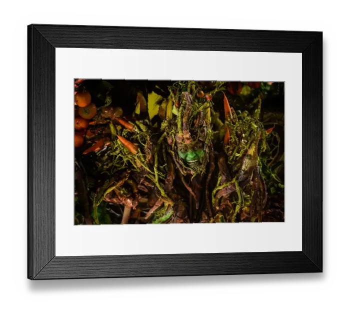 Framed Print : Brazil-Carnival-Rio-Champion Parade-Salgueiro