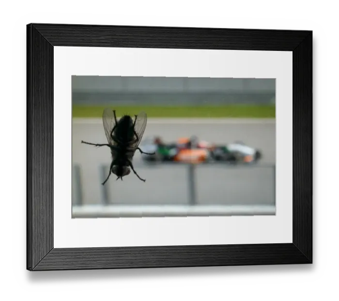 Framed Print : Auto-Prix-Mas-F1