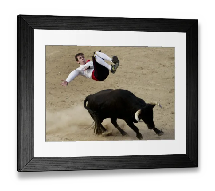 Framed Print : Colombia-Bullfighting-Recortadores Framed Print : Colombia-Bullfighting-Recortadores