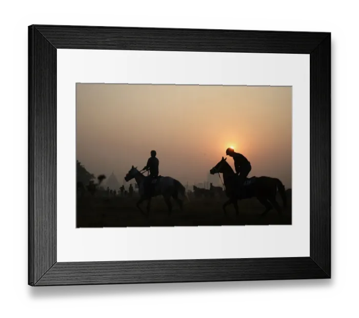 Framed Print : India-Weather-Fog-Horses