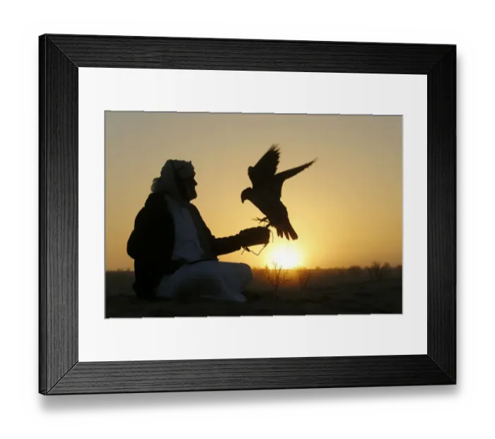 Framed Print : Uae-Festival-Falconry Framed Print : Uae-Festival-Falconry