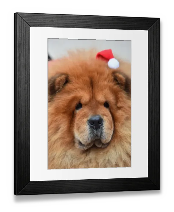 Framed Print : Italy-Santa-Claus-Race Framed Print : Italy-Santa-Claus-Race
