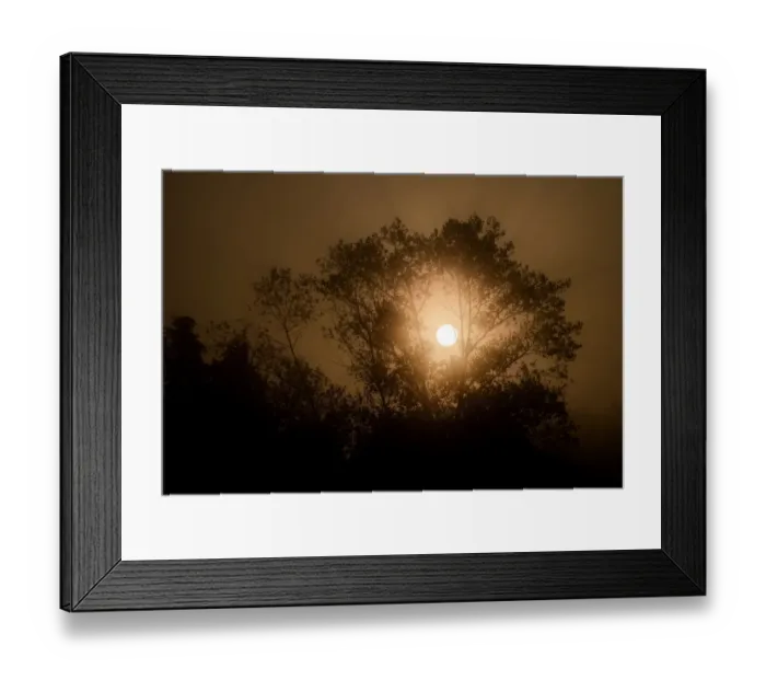 Framed Print : France-Nature-Sunrise