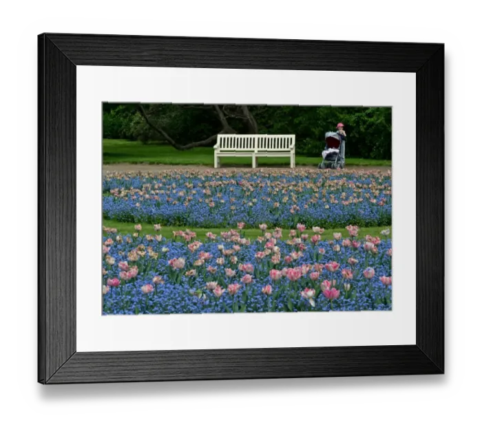 Framed Print : Poland-Flowers - Child