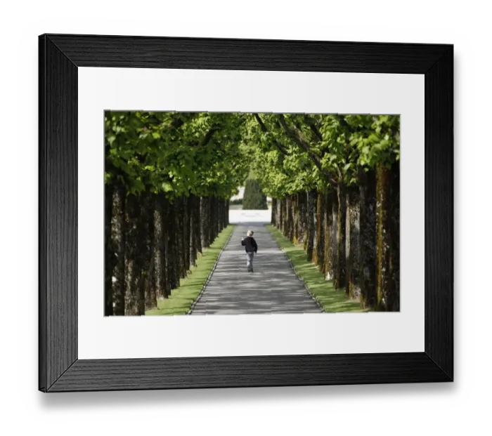 Framed Print : This photo taken on May 1, 2014, shows a young boy walking on a path lined with trees Framed Print : This photo taken on May 1, 2014, shows a young boy walking on a path lined with trees