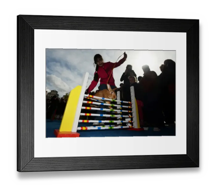 Framed Print : Czech-Easter-Rabbit-Offbeat
