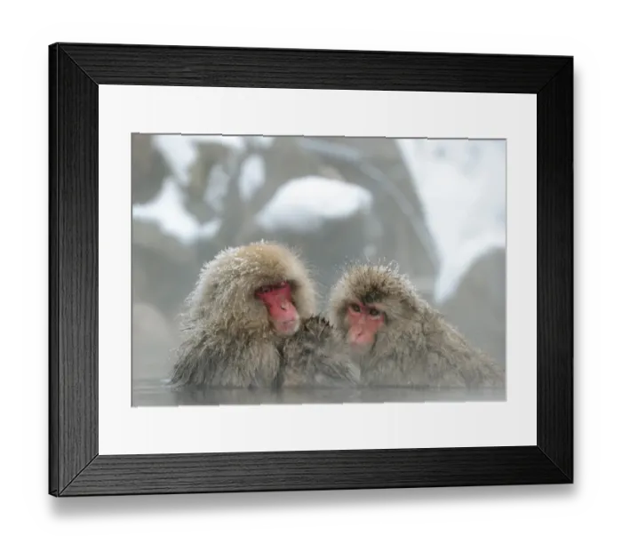 Framed Print : Japan-Lifestyle-Animal Framed Print : Japan-Lifestyle-Animal