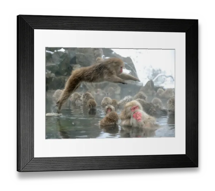 Framed Print : Japan-Lifestyle-Animal