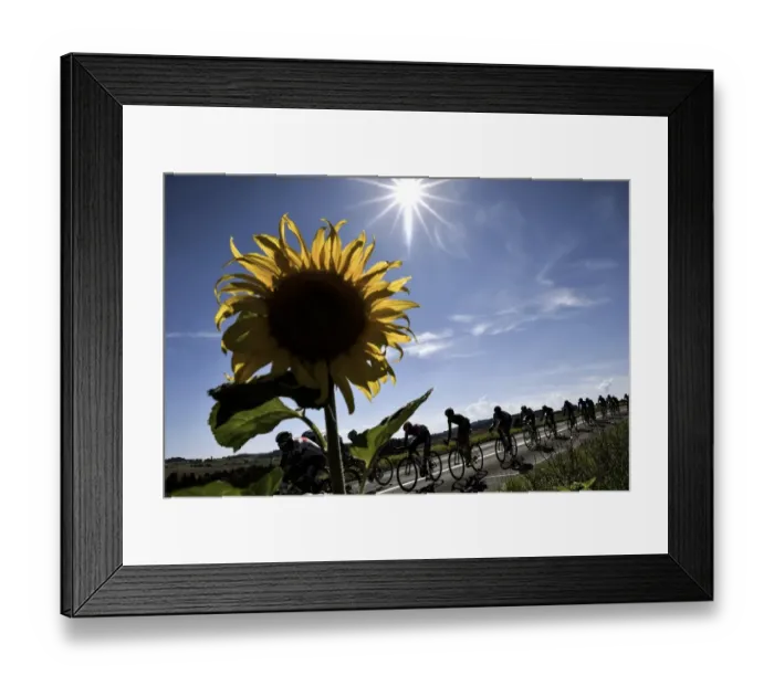Framed Print : Cycling-Fra-Sui-Tdf2016-Pack-Postcard Framed Print : Cycling-Fra-Sui-Tdf2016-Pack-Postcard
