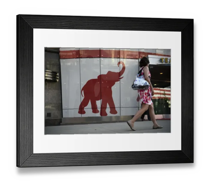 Framed Print : Republican National Convention