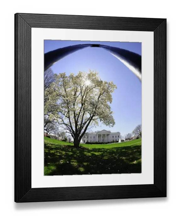 Framed Print : This March 30, 2009 photo shows the North side of the White House in Washington, DC Framed Print : This March 30, 2009 photo shows the North side of the White House in Washington, DC