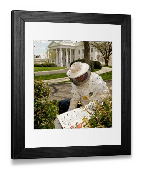 Framed Print : Us-White House-Bees