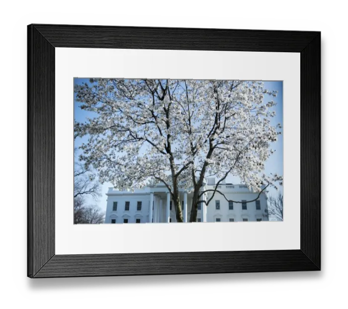 Framed Print : Us-Politics-Weather Framed Print : Us-Politics-Weather