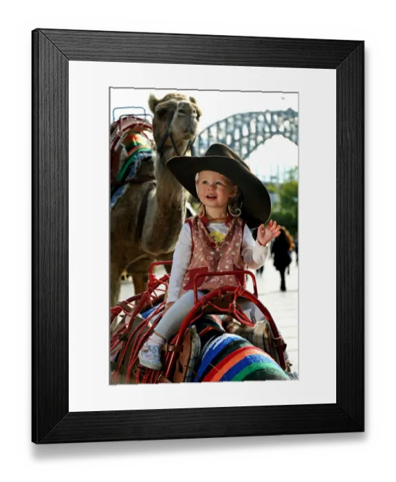 Framed Print : Australia-Entertainment-Racing-Camel