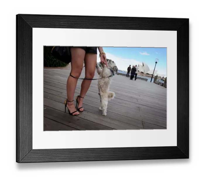 Framed Print : Australia-Society
