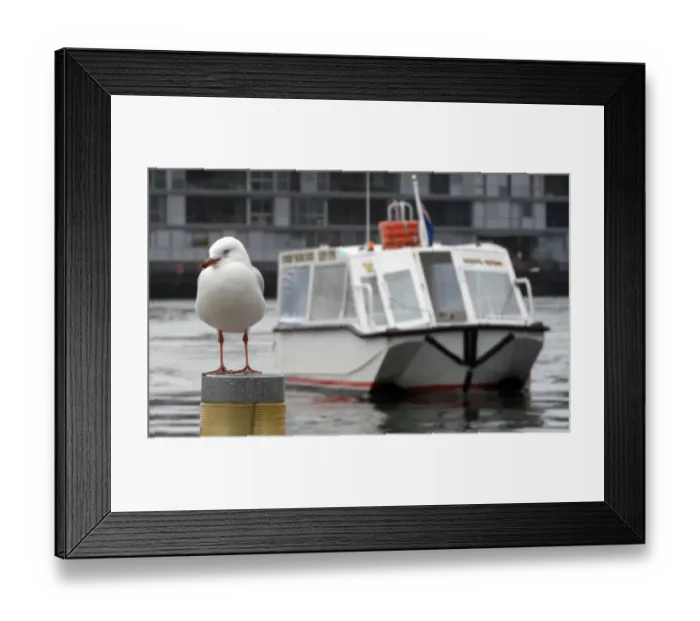 Framed Print : Australia-Economy