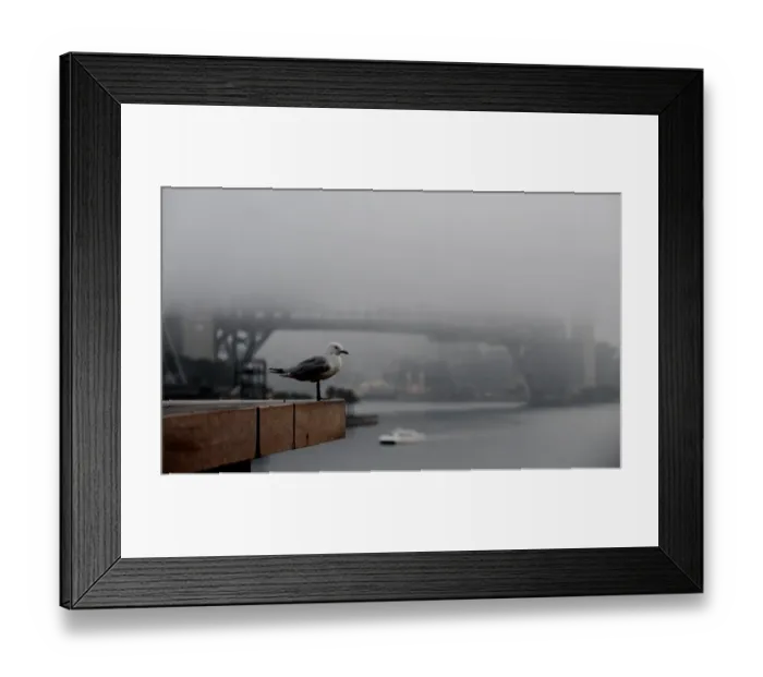 Framed Print : Australia-Weather-Fog Framed Print : Australia-Weather-Fog