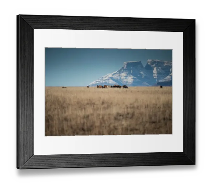 Framed Print : Safrica-Weather-Snow Framed Print : Safrica-Weather-Snow