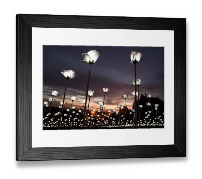 Framed Print : Malaysia-Lifestyle