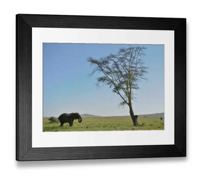 Framed Print : Kenya-Nature-Conservation-Elephant