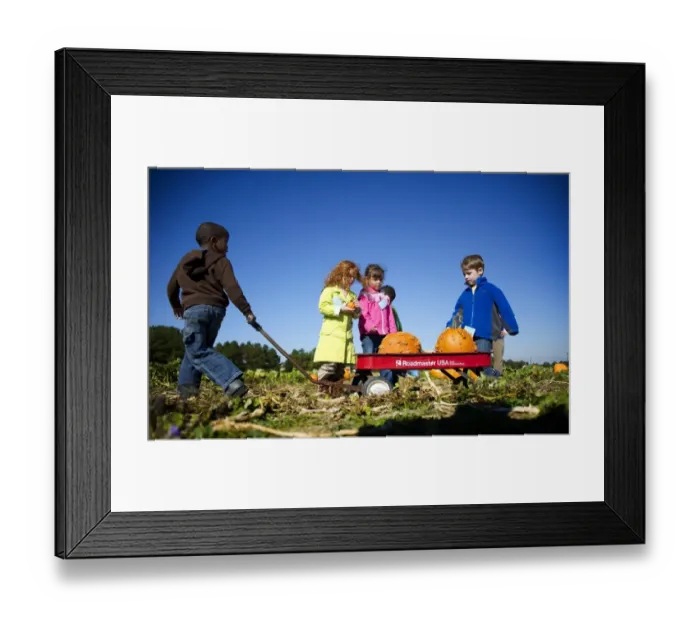 Framed Print : With Halloween just days away, children select pumpkins at Councell Farms in Cordova