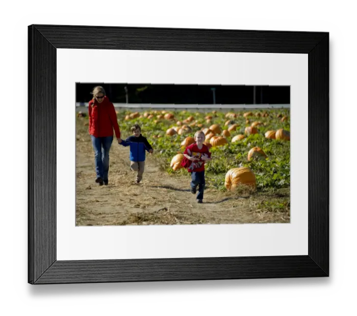 Framed Print : With Halloween just days away, children run through a pummpkin patch at Councell Farms in Cordova Framed Print : With Halloween just days away, children run through a pummpkin patch at Councell Farms in Cordova