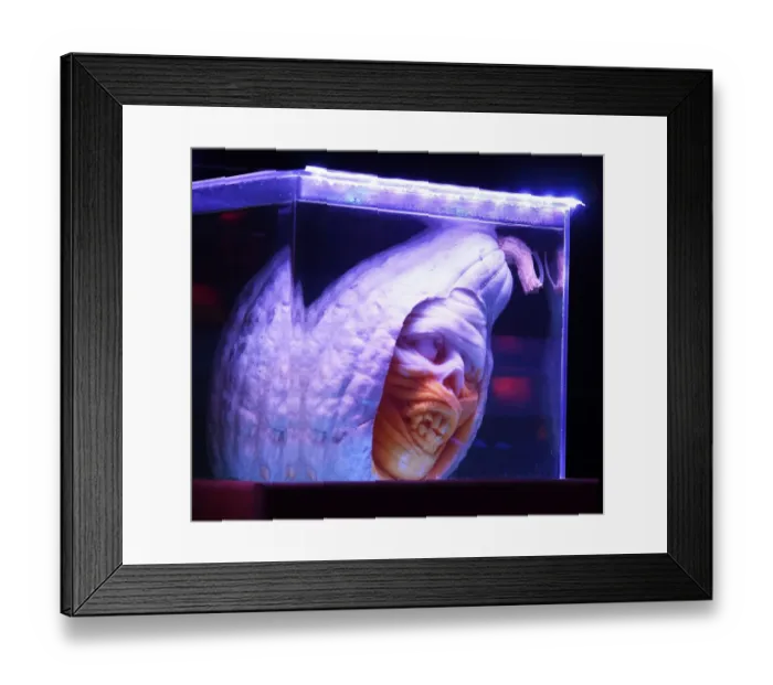 Framed Print : Us-Halloween-Pumpkins-Illuminated
