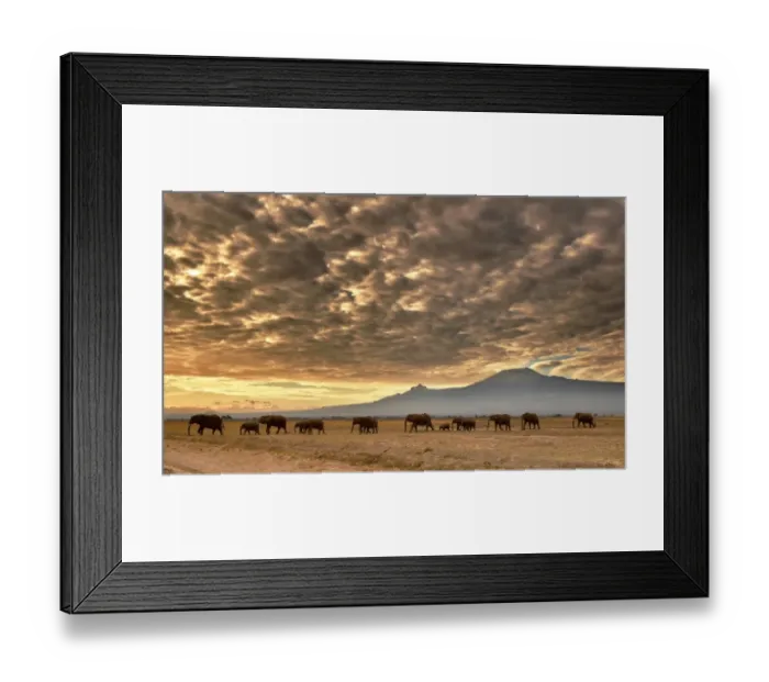 Framed Print : Kenya-Nature-Conservation-Animal-Elephant-Wildlife-Feature