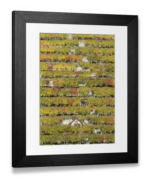 Framed Print : Germany-Weather-Autumn Framed Print : Germany-Weather-Autumn