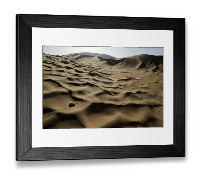 Framed Print : Auto-Rally-Russia-China-Silkway-Desert Framed Print : Auto-Rally-Russia-China-Silkway-Desert
