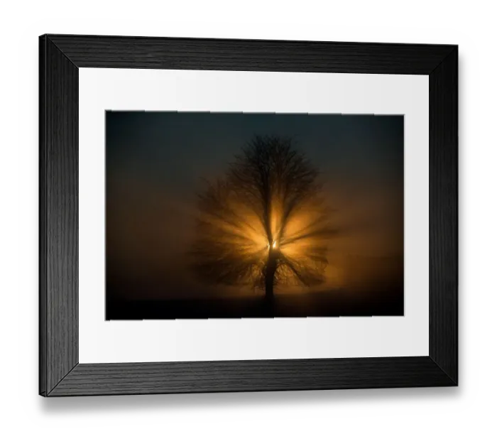 Framed Print : Germany-Weather-Sun Framed Print : Germany-Weather-Sun