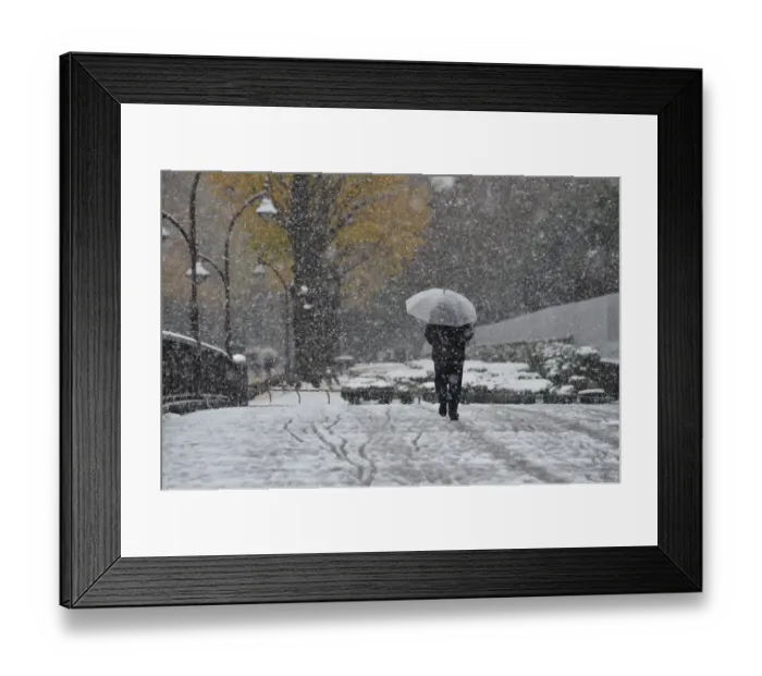 Framed Print : Japan-Weather-Snow