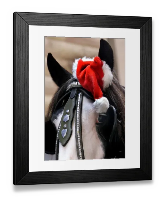 Framed Print : Australia-Christmas-Horse with Hat Framed Print : Australia-Christmas-Horse with Hat