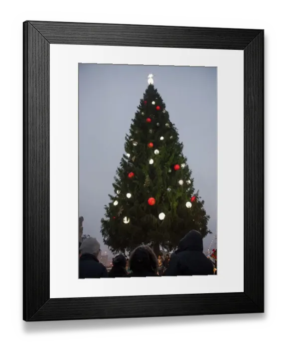 Framed Print : Sweden-Tradition-Christmas-Tree Framed Print : Sweden-Tradition-Christmas-Tree