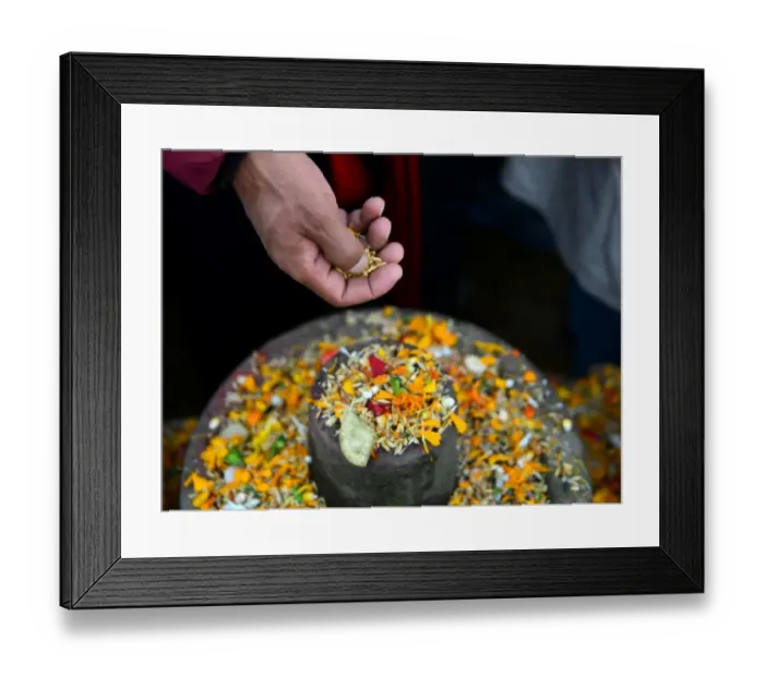 Framed Print : Nepal-Religion-Festival-Hindu Framed Print : Nepal-Religion-Festival-Hindu